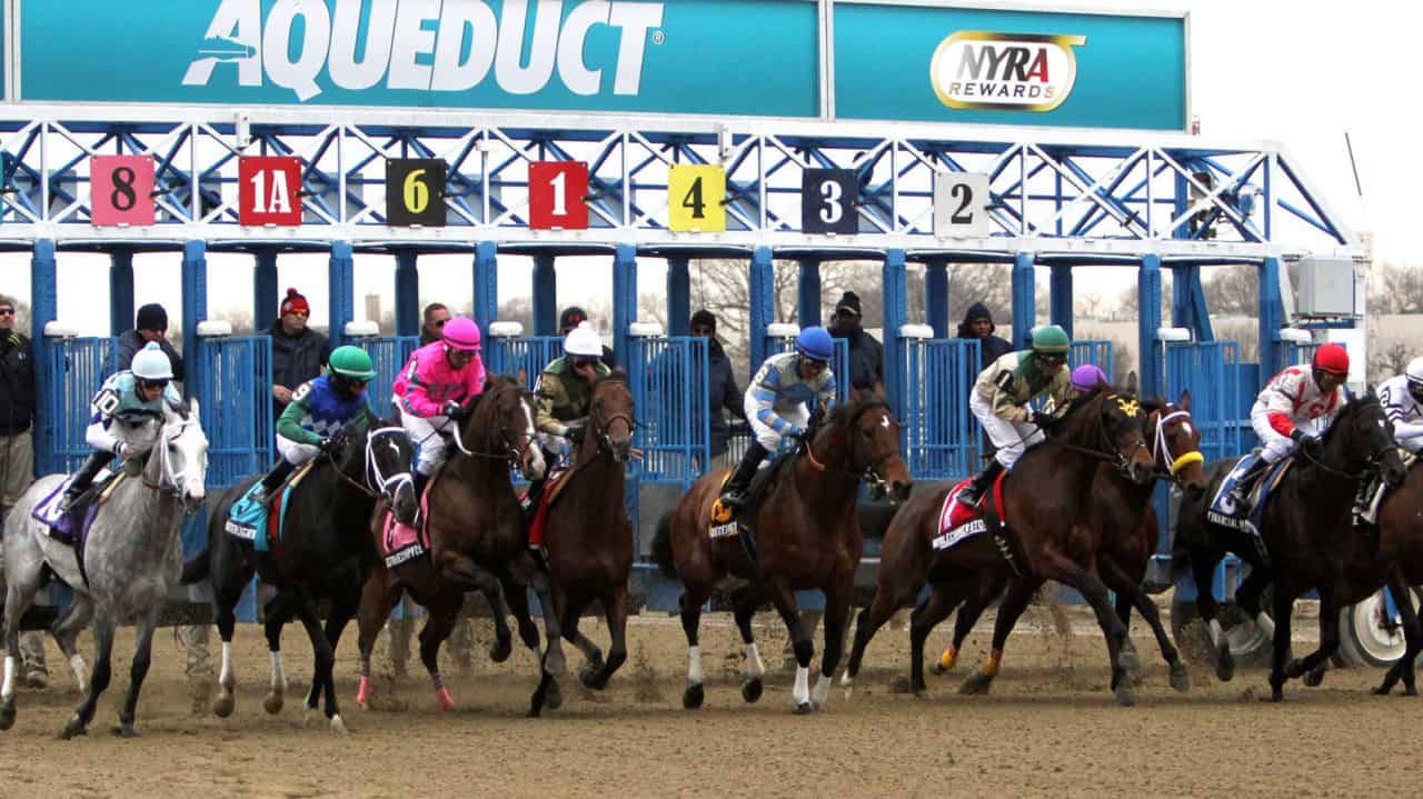 Daily Handle At Aqueduct Fall Meet Shows Solid Improvement Over 2019 ...