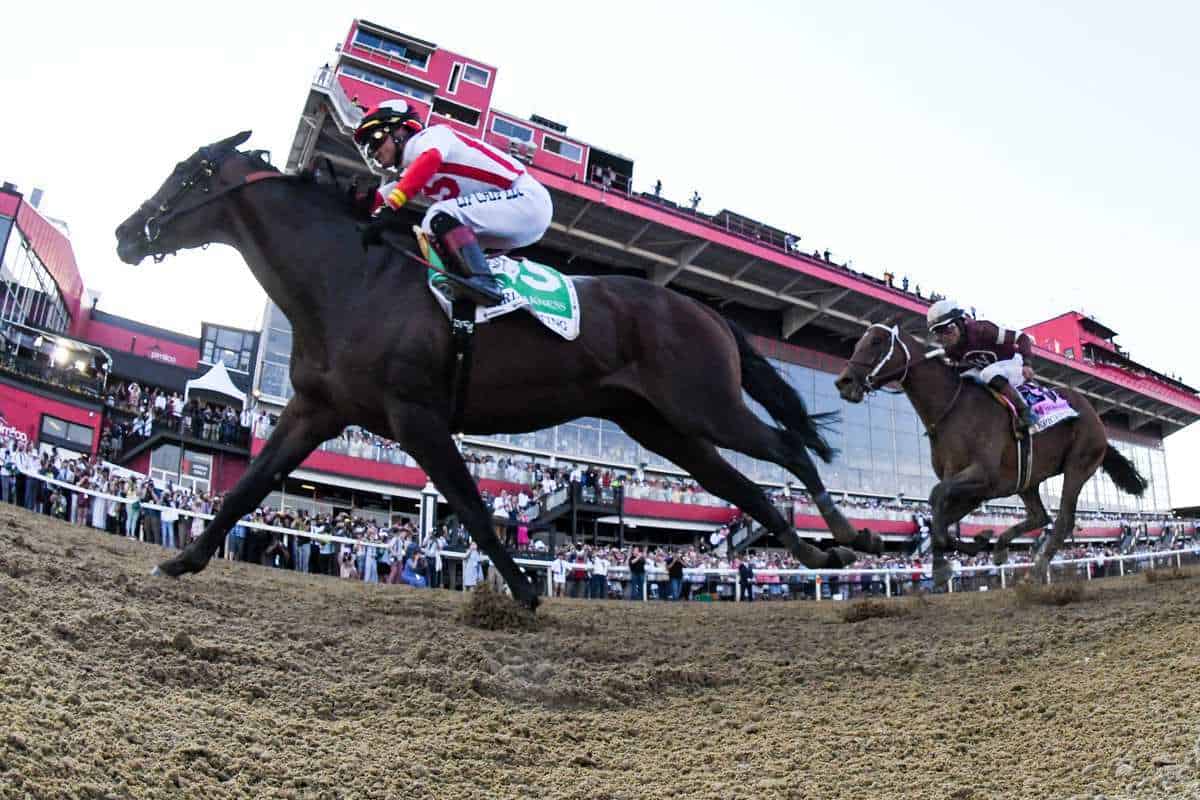 Early Voting Wins 2022 Preakness Stakes