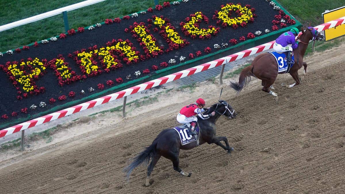 Updated Entries For 2022 Preakness Stakes