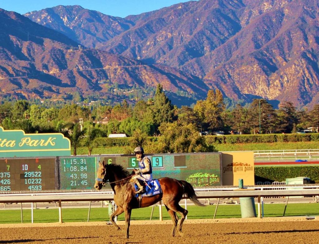 2023 Breeders' Cup Coming To Santa Anita Park